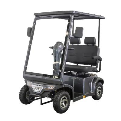 Double Seat 4 Wheel Golf Electric Mobility Scooter With Sliders And Headrest  With LCD Display LED Lighting