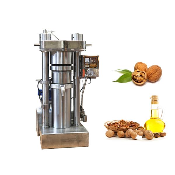Hydraulic Type Cold Press Walnut Edible Oil Making Machine Alloy Material
