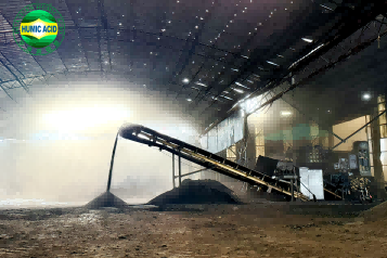 Granulados de humato de sodio negro soluble en agua HG/T 3278-2018 Norma