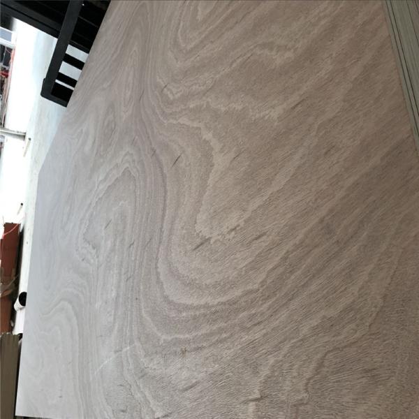 1220*2440mm Sapele Faced Plywood