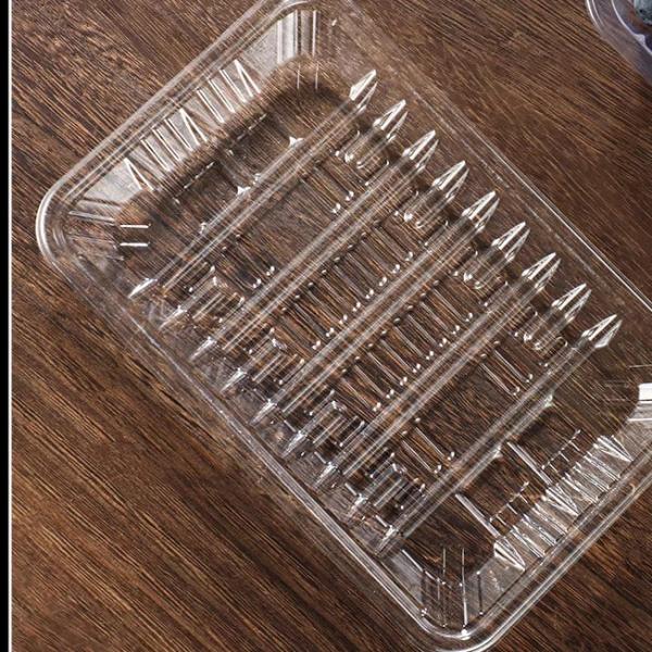 Supermarket PET Freezer Food Tray Customized Lightweight For Meat Packaging
