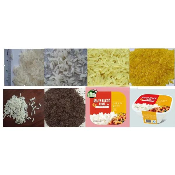 Nutritional Artificial Rice Processing Line Making Machinery Manufacturing Plant 1 ton per hour