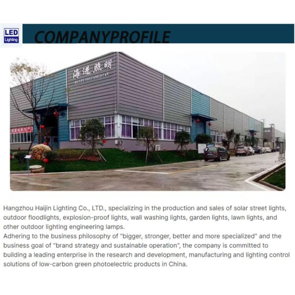 Round Football Stadium Lighting with 50000 Hours Working Lifetime LED Floodlight