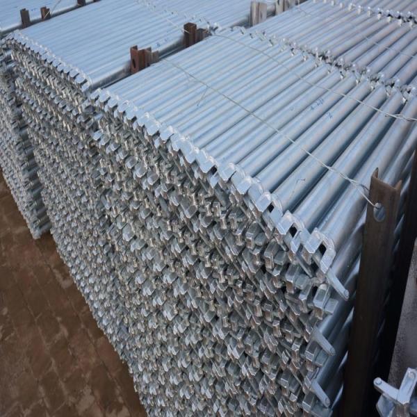 Construction Ringlock Bridge Ledger Heavy Duty 2.5m Hot-dipped Galvanized with 3.25mm Tube Thickness Scaffolding