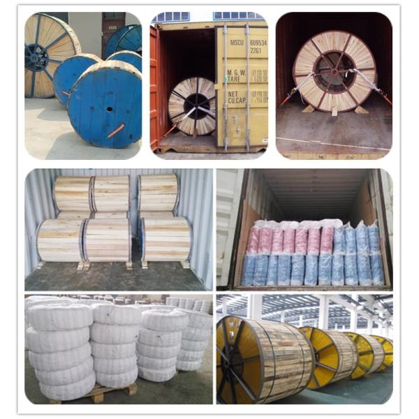 HOT IEC Standard 33kv XLPE Coated Steel Wire Armoured Cable for Construction Low Voltage 12v Copper Conductor Imported Canada