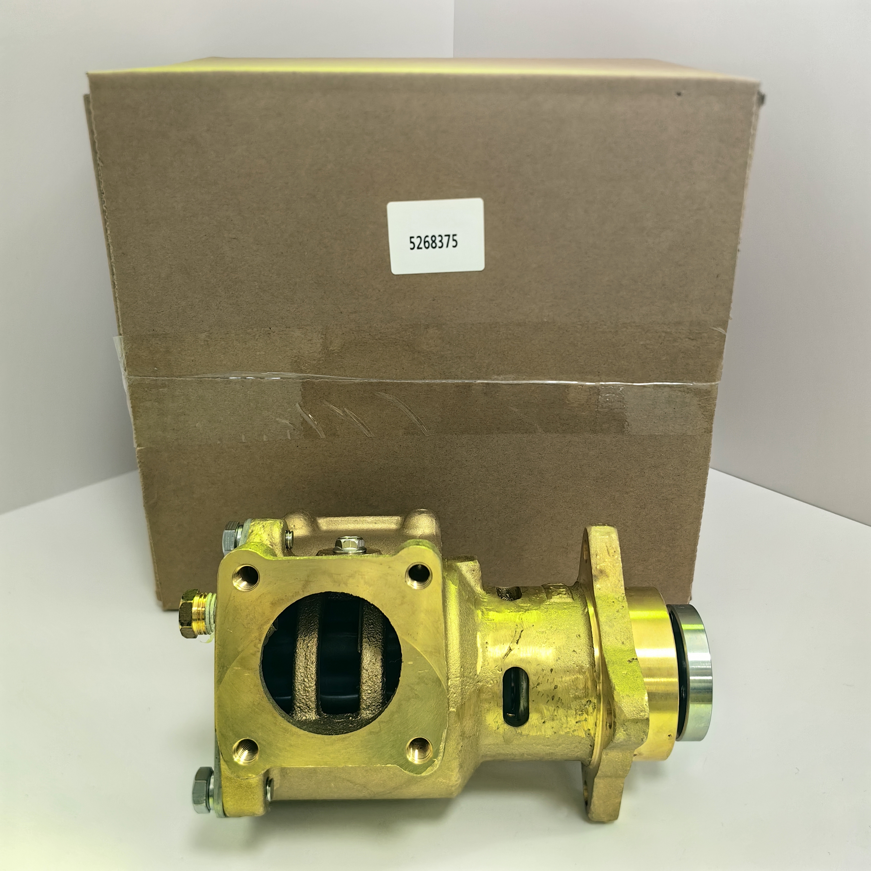 4255412 Sea Water Pump Raw Water Pump For CAT C4.4 Marine Engine