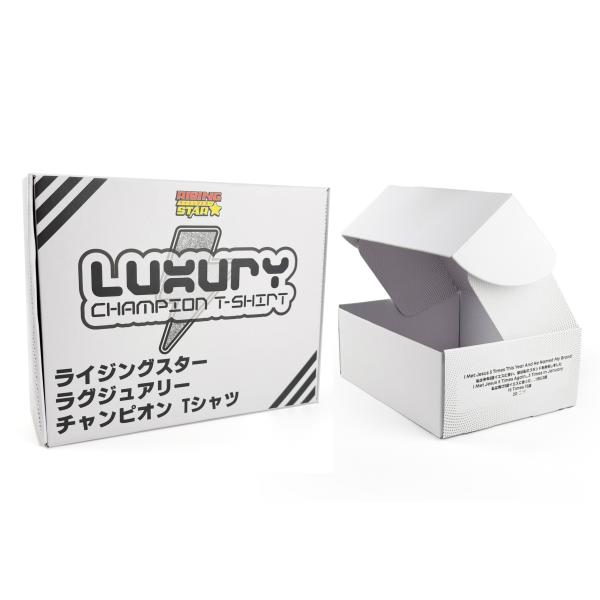 Custom logo Large White Corrugated box Folding Packaging Boxes for Clothes Brand Shipping Boxes mailer Box