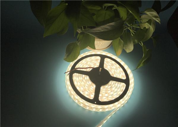 High Lumen SMD 5050 Flexible LED Strip Light 24VDC Double Row