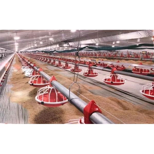 Automatic Chicken House Broiler Poultry Farm Equipment