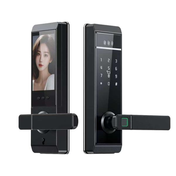 Qleung Tuya 顔認識 パームプリント 指紋 パスワード カードキー アンロック スマートホーム ドアロック