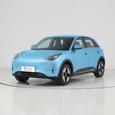 Géométrie Une voiture électrique, ouverture à une seule touche du cockpit intelligent, le luxe ultime.