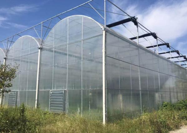 Agricultural Multi Span 10m 200 Micron Ldpe UV Film Greenhouse