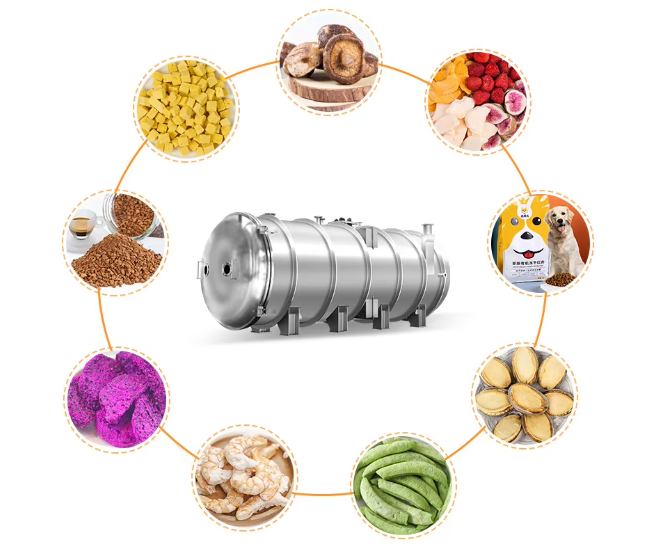 Full Automatic Customized Food Grade Vacuum Lyophilizer with 5 Years Warranty Freeze Dry Machine
