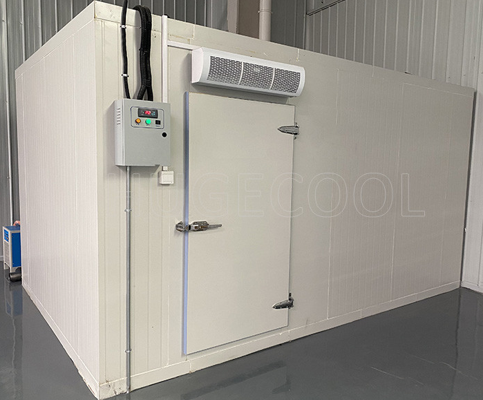 Precise Temperature Control Freezer Cold Room Energy Saving Design High Strength Panels