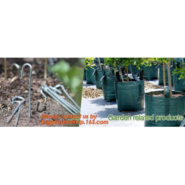 Garden tomato green house greenhouse film 3 layer eva agriculture clear plastic protective 90% transmission green house,