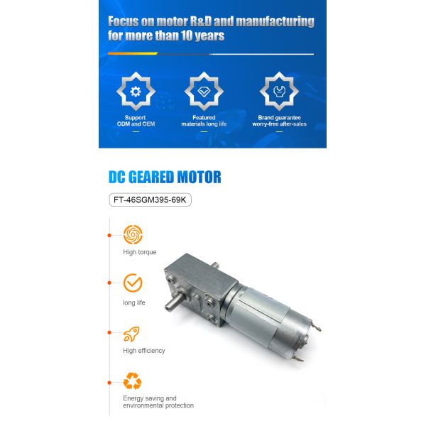 Customized Manufacturer FT-46SGM395-69K 12V Micro DC Gear Motor 24V Worm Gear Motor
