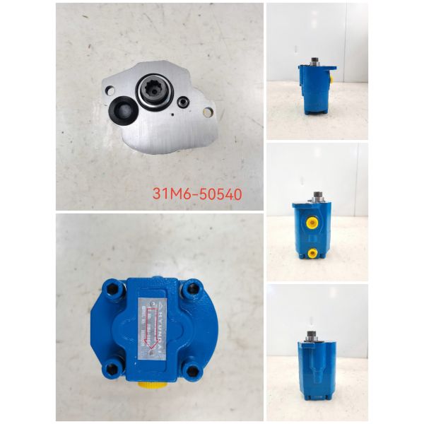 Customize Gear Pump 31M6-50540 (AP2D25)  High Displacement Cast Iron Hydraulic Pump ISO9001 certified for Heavy Machineryone year warranty KEHAO Brand