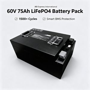 Custom Electric 2 Wheel 3 Wheeler LiFePO4 Lithium Battery Motorcycle Battery 60V 75Ah