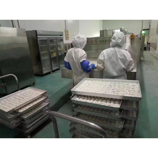 -120℃ Blast Freezer Malaysia Liquid Nitrogen Tunnel Freezer