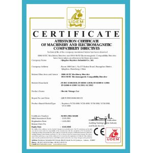 Qingdao Raysince Industrial Co., Ltd. Certifications