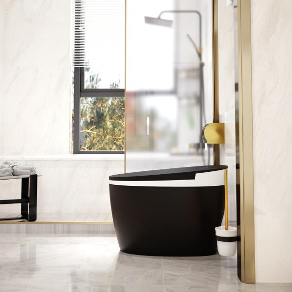 Seat chauffant le bidet intelligent de salle de bains de Siphonic de toilette de