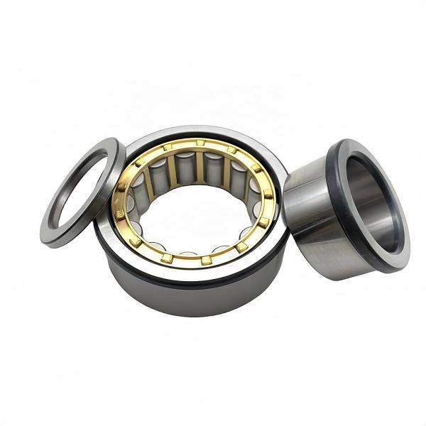 NUP211ECM Cylindrical Roller Bearing NUP211EM 50*100*21mm with P4 Precision Rating