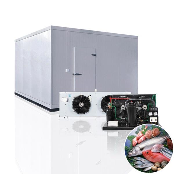 Customized Freezer Cold Storage Room For Green Tea Or Pizza