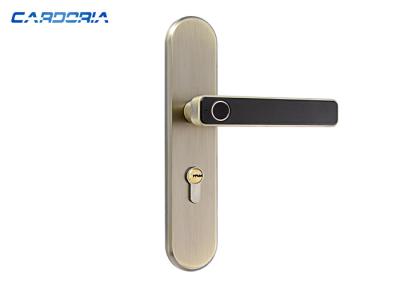 Fashion Design Keyless Cabinet Lock , Safety Biometric Keyless Door Lock