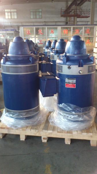 Vertical hollow shaft motor