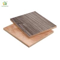 Plâtre en contreplaqué au film de mélamine d'eucalyptus 12 mm 4x8 pour la construction de bâtiments