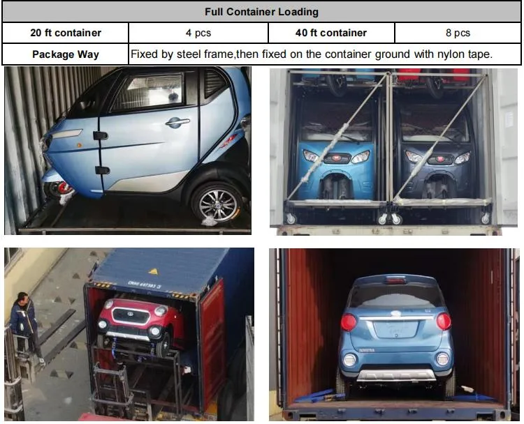 Raysince latest model electric mini car EEC certificated 60V 3 wheel electric bicycle for hot sale