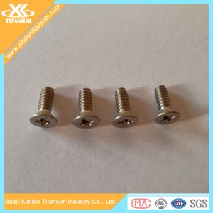 Titanium Screws