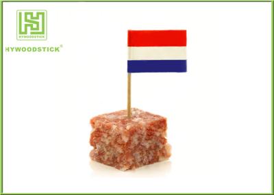 Custom International Flag Toothpicks , Different Design Cupcake Toothpicks Party Decoration Items