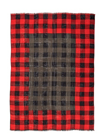 Lady Fashion Woven Check Scarf