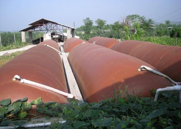 Customized Bio Digester Tank Improve The Environment Household Anaerobic Manure Digester