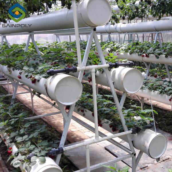 SAINPOLY Easily Assembled Fruit Growing Greenhouse Strawberry Production