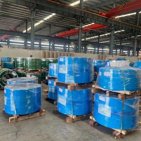 TP310S  SS 310S  Stainless Steel Coil Strip 0.3-3mm 1.4845 Steel Strip For High Temperature