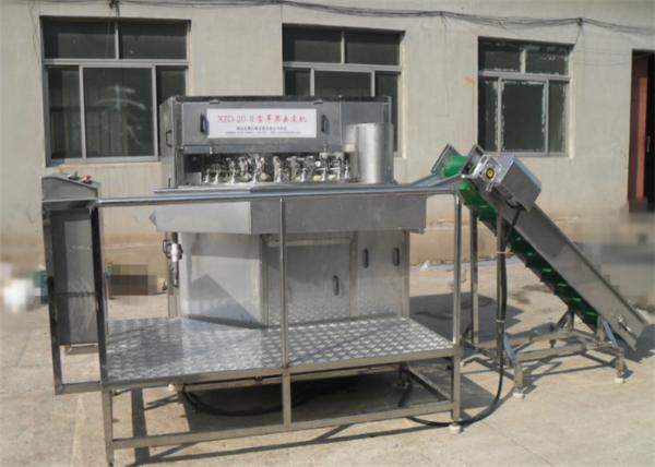 Apple Peeling Machine Fruit Canning Equipment Manual Feeding Custom Design