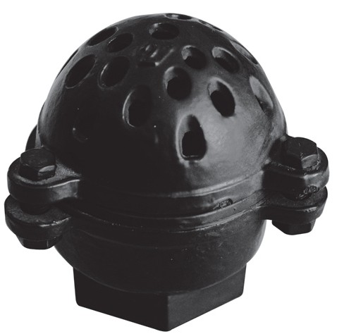 Threaded End Ductile Iron 2 Inch Foot Valve For Pump PN12 Pressure