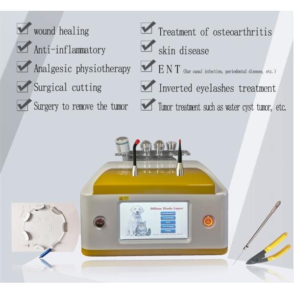 терапия лазера диода 980nm ветеринарная для лечения любимцев обветренного