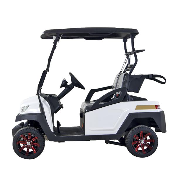 Electric Golf Buggy 2 Passenger with Intelligent Onboard Charger