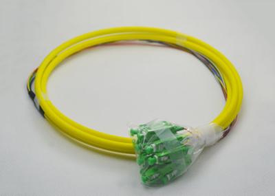 FTTx Fan Out SC APC Pigtail 12 Color Durable Excellent Performance