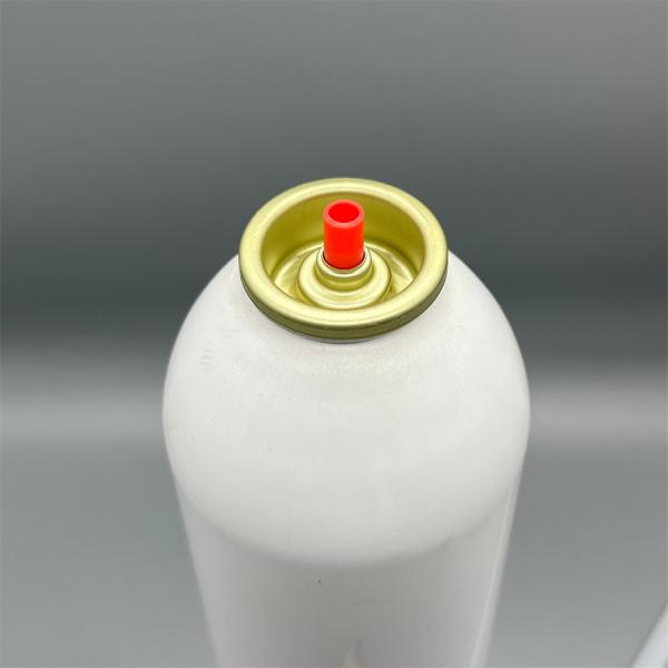 Professional Fire Extinguisher Valve Fittings  High  Pressure Tolerance for Industrial Use