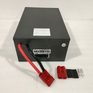 Custom Made 48V 72V 96V Golf Cart Lithium Ion Battery Wholesale Price