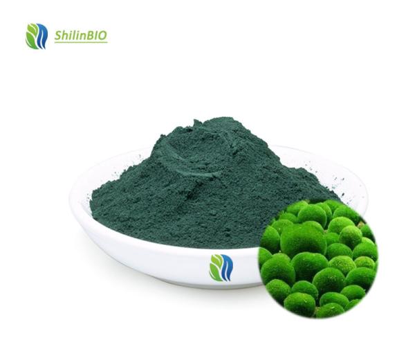 Chlorella Algae Powder 50%~60% Protein