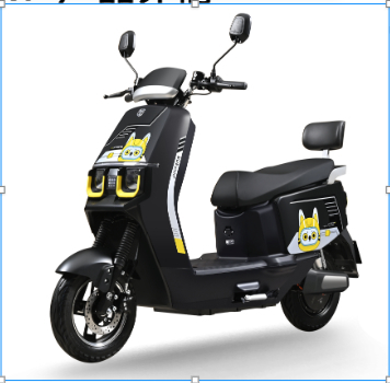 Electric motorcycle RY Motor 72V800W Battery 72V32AH Brake System Disc