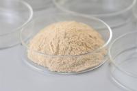 Tanning Protease Industrial Enzymes Soluble Protein Loosening Collagen Fiber