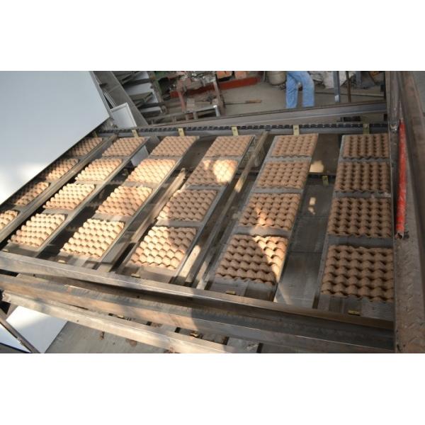 Machine à plateau à œufs rotatif Machine de recyclage des déchets de papier