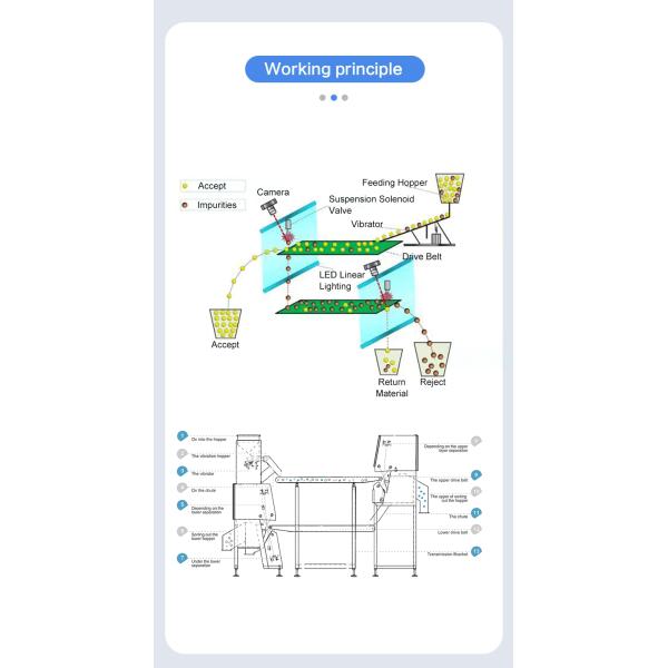 Color óptico del clasificador del color del arroz del CCD Carame de Wenyao que clasifica la máquina negra del clasificador del color del arroz