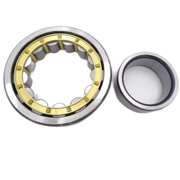 Stable Performance N219EM NU219EM NJ219EM Cylindrical Roller Bearing with Copper